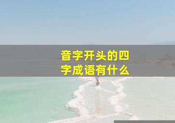 音字开头的四字成语有什么