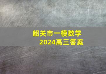 韶关市一模数学2024高三答案