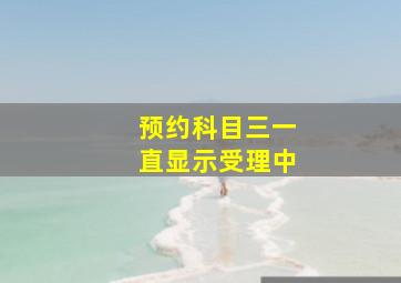 预约科目三一直显示受理中