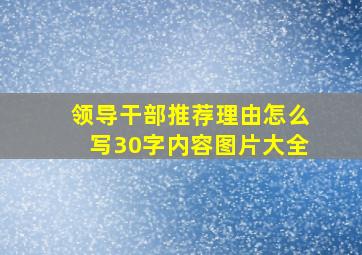 领导干部推荐理由怎么写30字内容图片大全