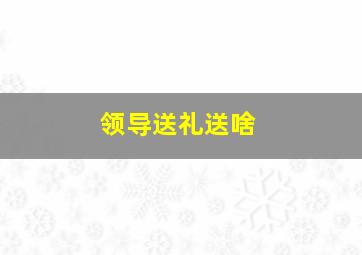 领导送礼送啥