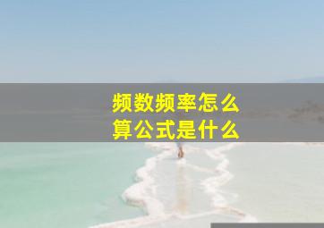 频数频率怎么算公式是什么