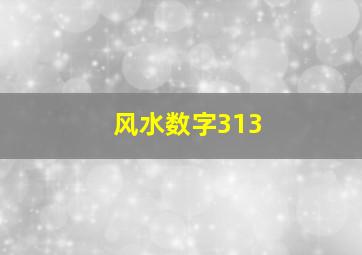 风水数字313