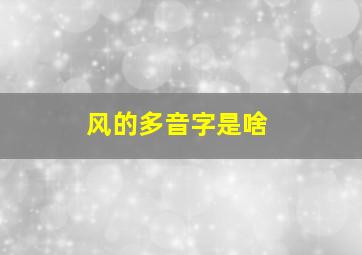 风的多音字是啥