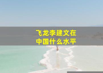 飞龙李建文在中国什么水平