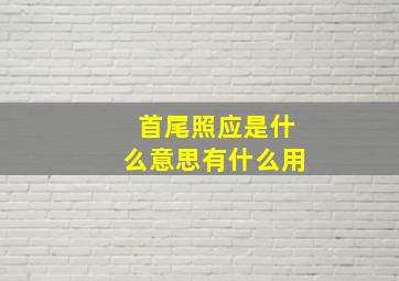 首尾照应是什么意思有什么用