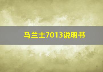 马兰士7013说明书