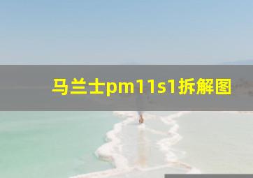 马兰士pm11s1拆解图