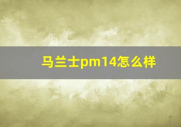 马兰士pm14怎么样