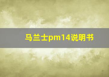 马兰士pm14说明书