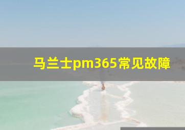 马兰士pm365常见故障