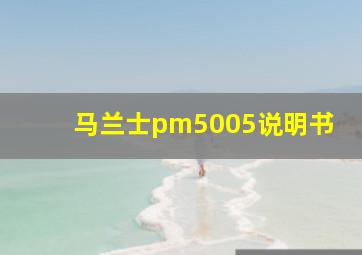 马兰士pm5005说明书