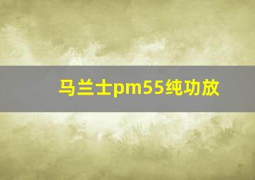 马兰士pm55纯功放