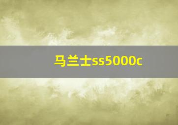 马兰士ss5000c