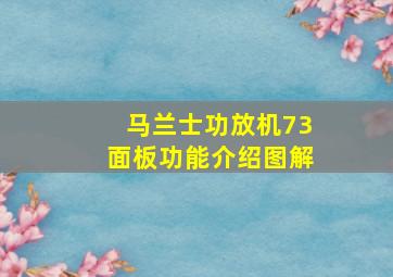 马兰士功放机73面板功能介绍图解