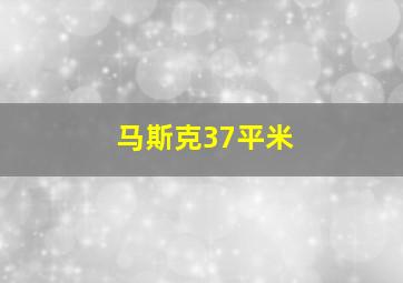 马斯克37平米