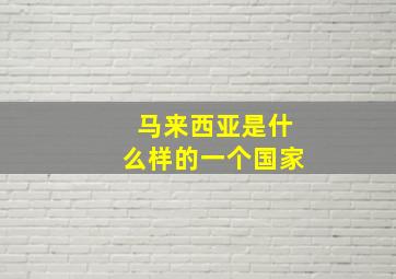 马来西亚是什么样的一个国家