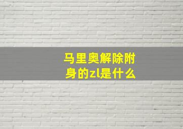 马里奥解除附身的zl是什么