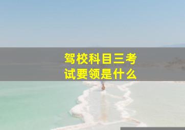 驾校科目三考试要领是什么