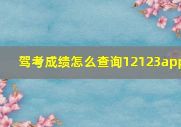 驾考成绩怎么查询12123app