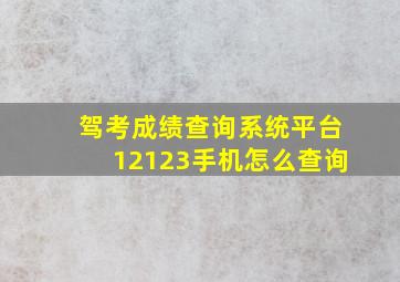 驾考成绩查询系统平台12123手机怎么查询