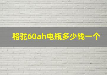 骆驼60ah电瓶多少钱一个