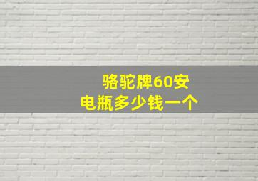 骆驼牌60安电瓶多少钱一个