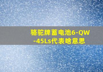 骆驼牌蓄电池6-QW-45Ls代表啥意思