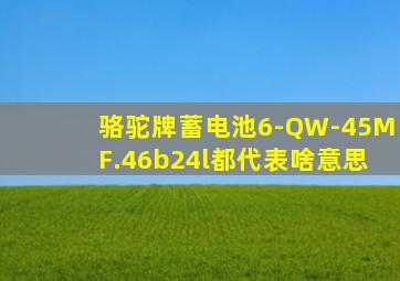 骆驼牌蓄电池6-QW-45MF.46b24l都代表啥意思