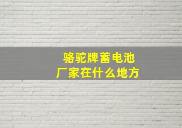 骆驼牌蓄电池厂家在什么地方