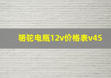 骆驼电瓶12v价格表v45