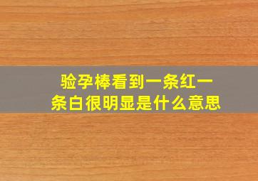 验孕棒看到一条红一条白很明显是什么意思