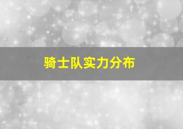 骑士队实力分布