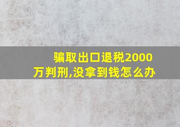 骗取出口退税2000万判刑,没拿到钱怎么办