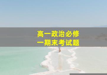 高一政治必修一期末考试题