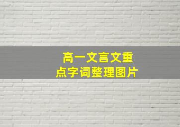 高一文言文重点字词整理图片