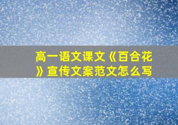 高一语文课文《百合花》宣传文案范文怎么写