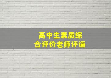 高中生素质综合评价老师评语