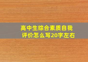 高中生综合素质自我评价怎么写20字左右