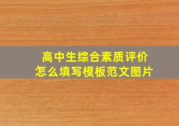 高中生综合素质评价怎么填写模板范文图片