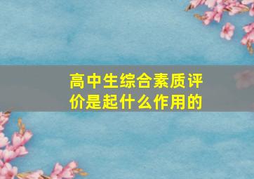 高中生综合素质评价是起什么作用的