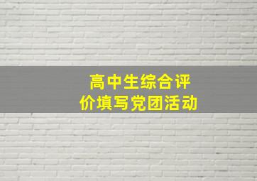 高中生综合评价填写党团活动