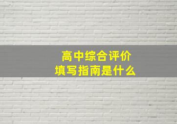 高中综合评价填写指南是什么