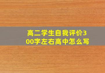 高二学生自我评价300字左右高中怎么写