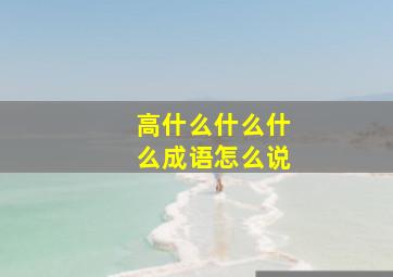 高什么什么什么成语怎么说