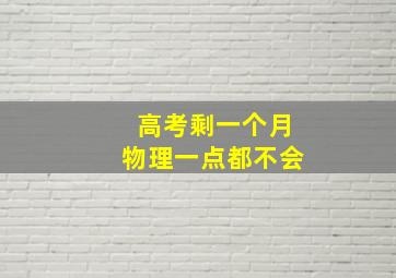 高考剩一个月物理一点都不会