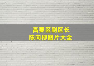 高要区副区长陈向柳图片大全