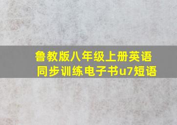 鲁教版八年级上册英语同步训练电子书u7短语