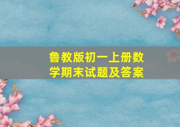 鲁教版初一上册数学期末试题及答案