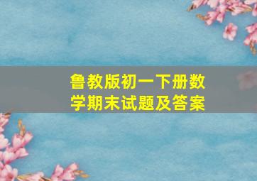 鲁教版初一下册数学期末试题及答案